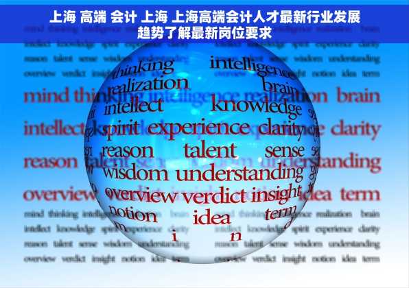 上海 高端 会计 上海 上海高端会计人才最新行业发展趋势了解最新岗位要求