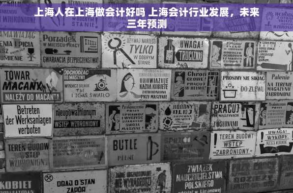 上海人在上海做会计好吗 上海会计行业发展，未来三年预测