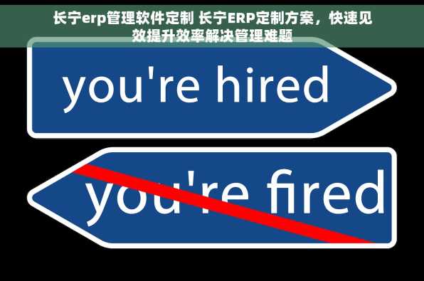 长宁erp管理软件定制 长宁ERP定制方案，快速见效提升效率解决管理难题
