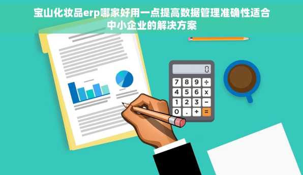 宝山化妆品erp哪家好用一点提高数据管理准确性适合中小企业的解决方案