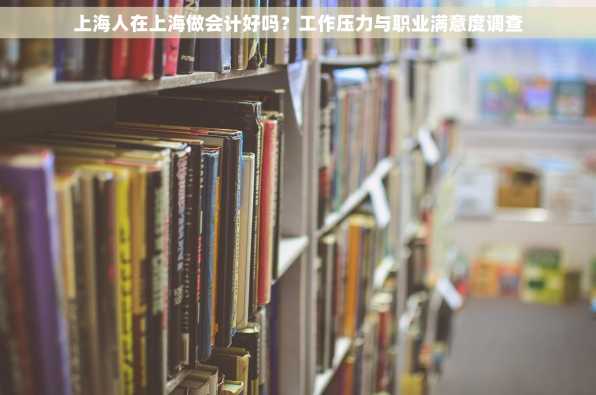 上海人在上海做会计好吗？工作压力与职业满意度调查