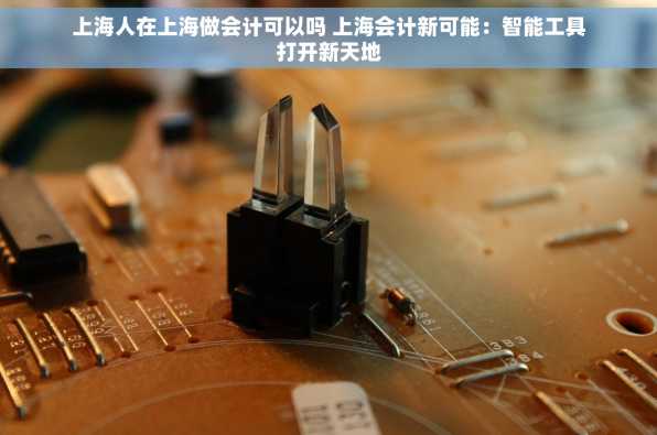 上海人在上海做会计可以吗 上海会计新可能：智能工具打开新天地