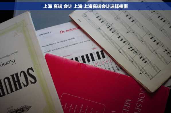 上海 高端 会计 上海 上海高端会计选择指南
