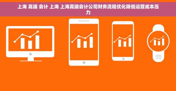 上海 高端 会计 上海 上海高端会计公司财务流程优化降低运营成本压力