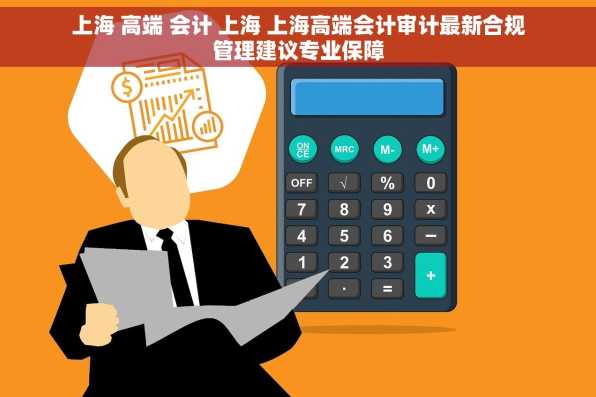 上海 高端 会计 上海 上海高端会计审计最新合规管理建议专业保障