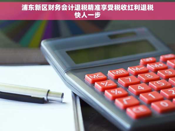 浦东新区财务会计退税精准享受税收红利退税快人一步