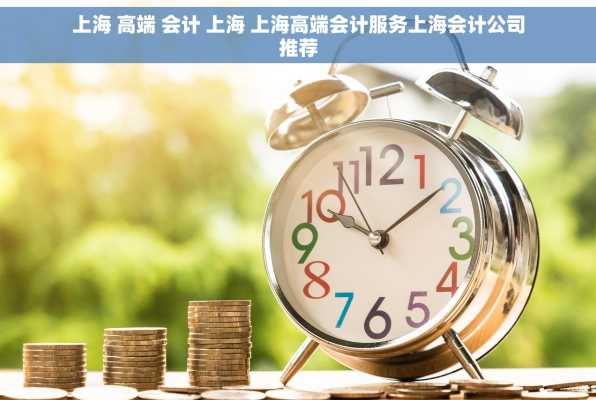 上海 高端 会计 上海 上海高端会计服务上海会计公司推荐
