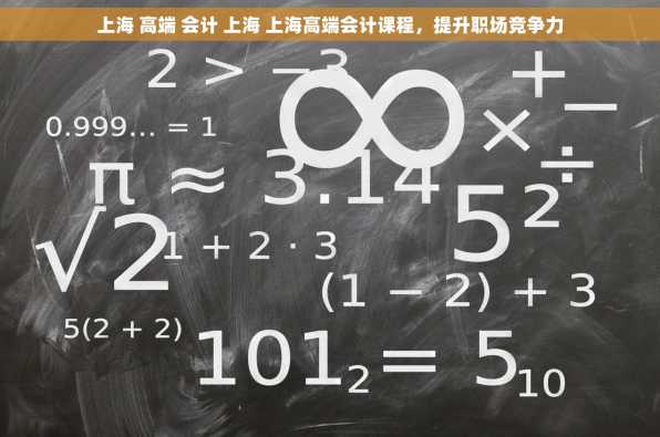 上海 高端 会计 上海 上海高端会计课程，提升职场竞争力