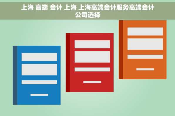 上海 高端 会计 上海 上海高端会计服务高端会计公司选择