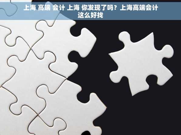 上海 高端 会计 上海 你发现了吗？上海高端会计这么好找