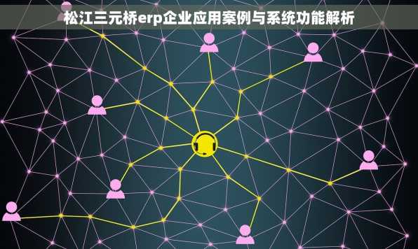 松江三元桥erp企业应用案例与系统功能解析