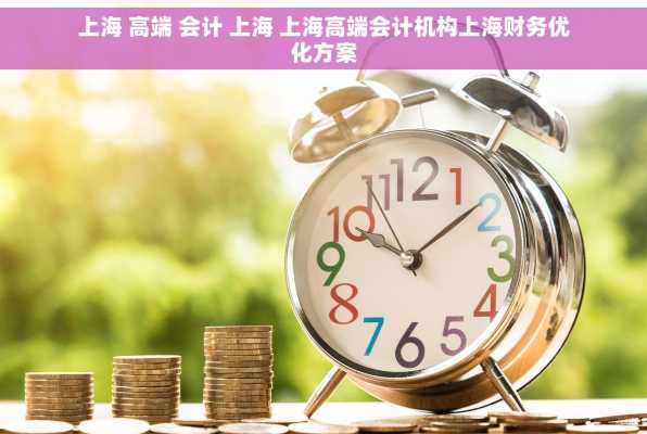 上海 高端 会计 上海 上海高端会计机构上海财务优化方案
