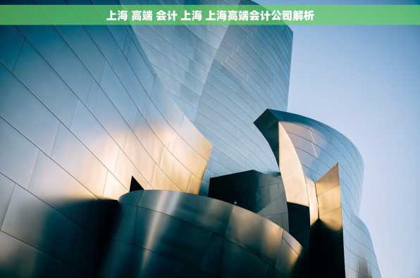上海 高端 会计 上海 上海高端会计公司解析
