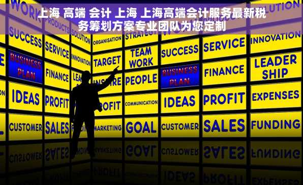 上海 高端 会计 上海 上海高端会计服务最新税务筹划方案专业团队为您定制