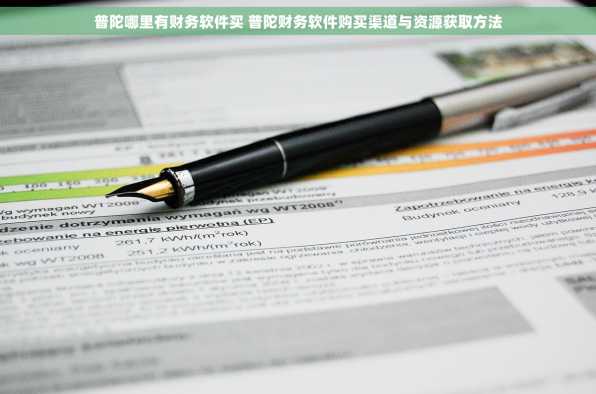 普陀哪里有财务软件买 普陀财务软件购买渠道与资源获取方法