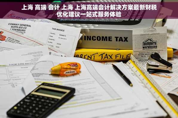 上海 高端 会计 上海 上海高端会计解决方案最新财税优化建议一站式服务体验