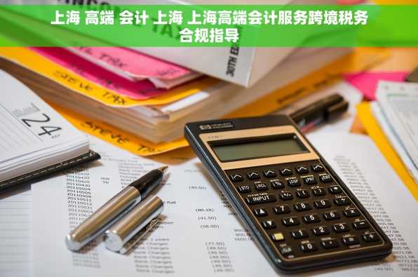 上海 高端 会计 上海 上海高端会计服务跨境税务合规指导