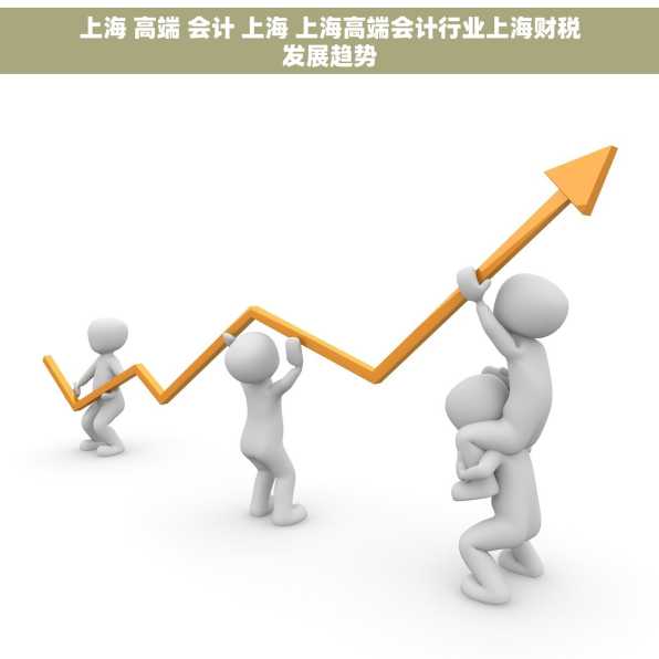 上海 高端 会计 上海 上海高端会计行业上海财税发展趋势