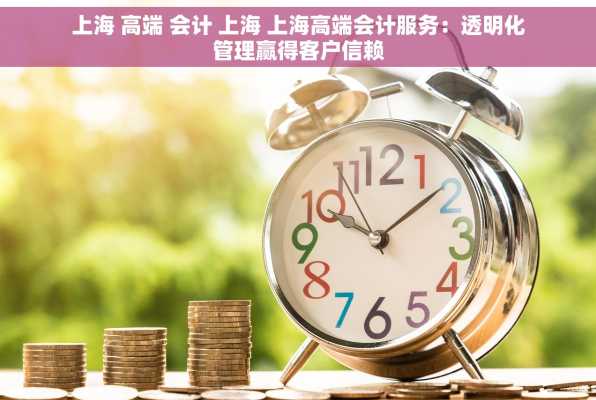 上海 高端 会计 上海 上海高端会计服务：透明化管理赢得客户信赖