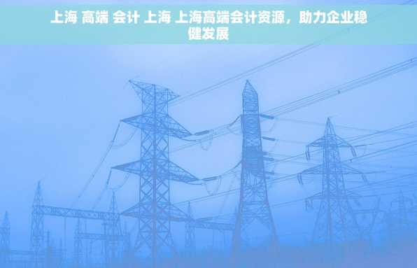 上海 高端 会计 上海 上海高端会计资源，助力企业稳健发展