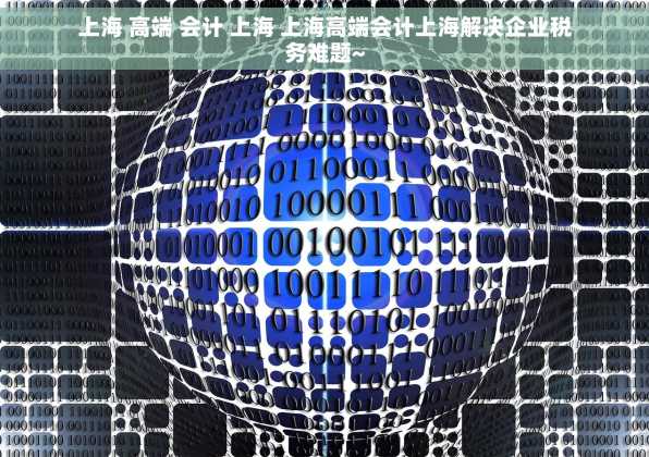 上海 高端 会计 上海 上海高端会计上海解决企业税务难题~