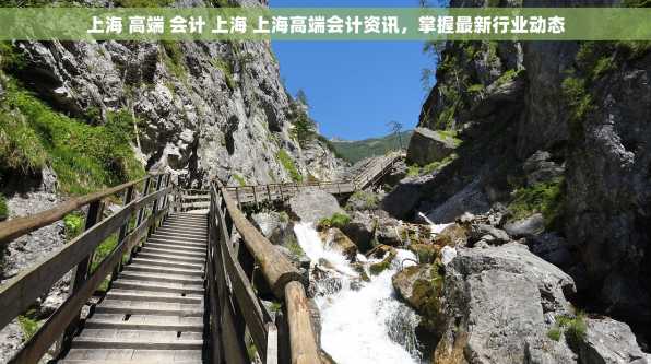 上海 高端 会计 上海 上海高端会计资讯，掌握最新行业动态