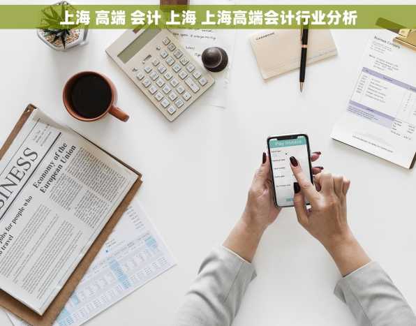 上海 高端 会计 上海 上海高端会计行业分析