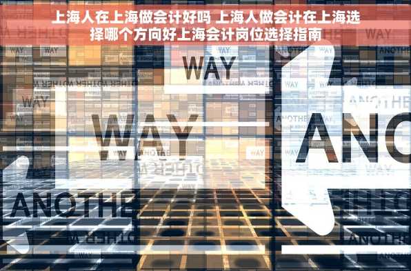 上海人在上海做会计好吗 上海人做会计在上海选择哪个方向好上海会计岗位选择指南