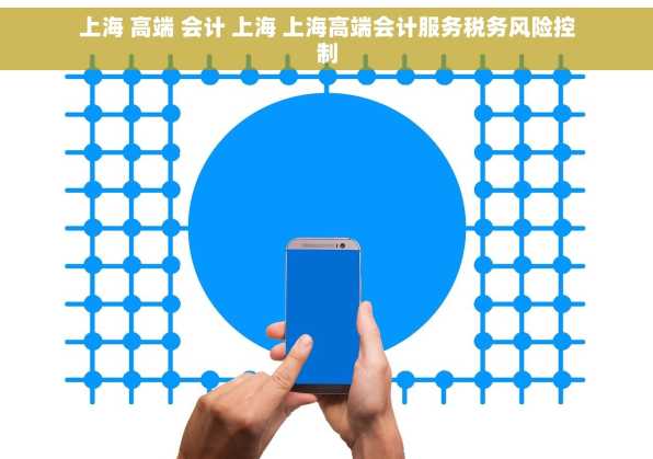 上海 高端 会计 上海 上海高端会计服务税务风险控制