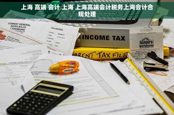 上海 高端 会计 上海 上海高端会计税务上海会计合规处理