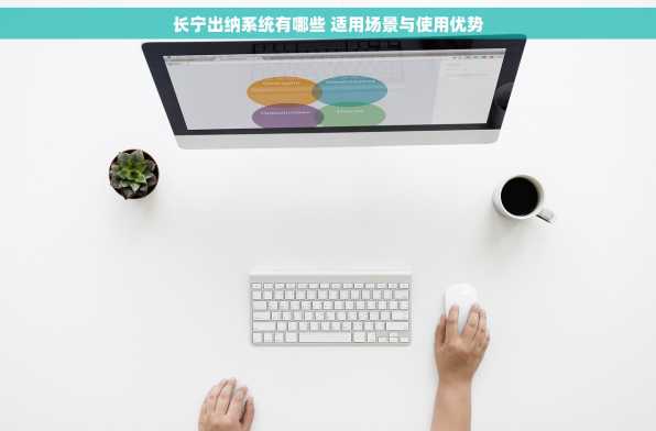 长宁出纳系统有哪些 适用场景与使用优势