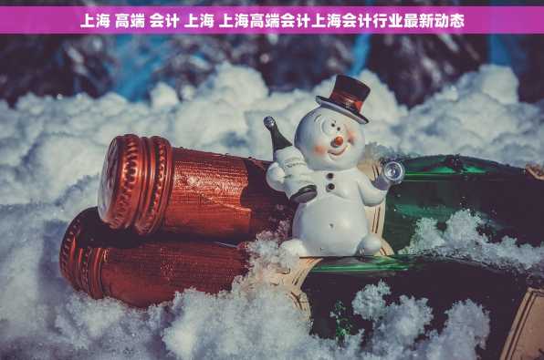 上海 高端 会计 上海 上海高端会计上海会计行业最新动态