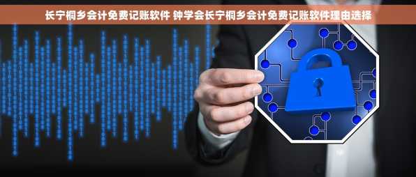 长宁桐乡会计免费记账软件 钟学会长宁桐乡会计免费记账软件理由选择