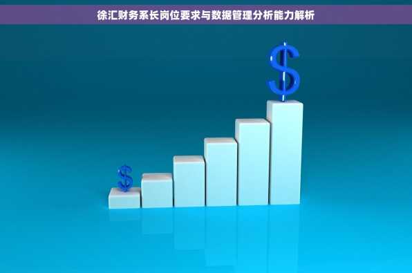 徐汇财务系长岗位要求与数据管理分析能力解析