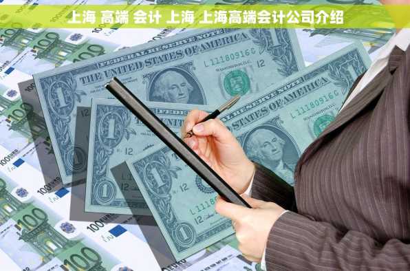 上海 高端 会计 上海 上海高端会计公司介绍