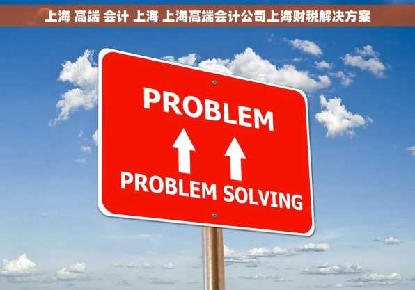 上海 高端 会计 上海 上海高端会计公司上海财税解决方案