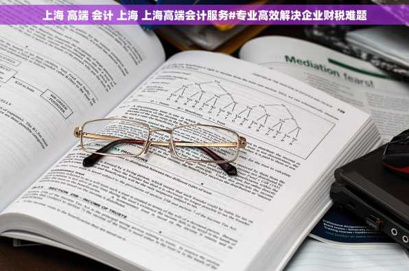 上海 高端 会计 上海 上海高端会计服务#专业高效解决企业财税难题