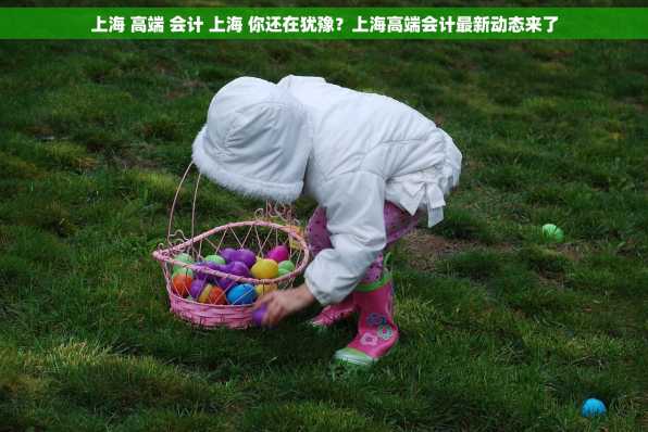 上海 高端 会计 上海 你还在犹豫？上海高端会计最新动态来了