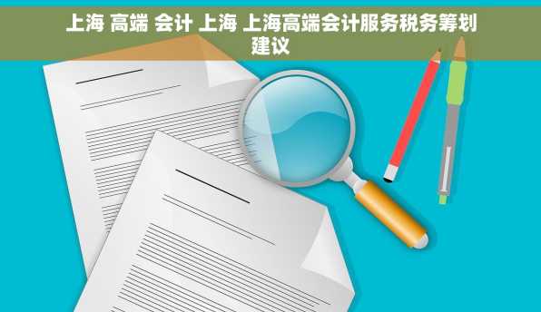 上海 高端 会计 上海 上海高端会计服务税务筹划建议