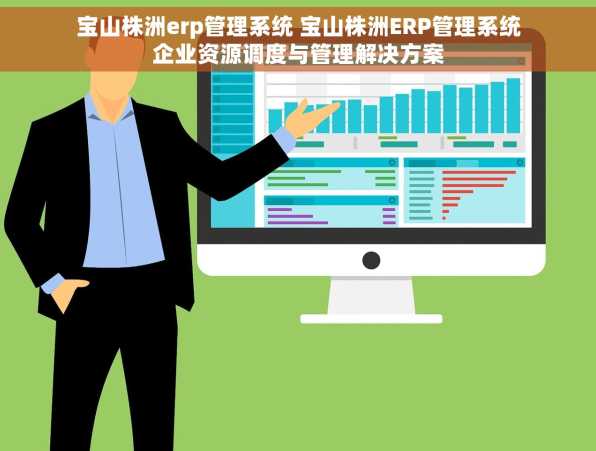宝山株洲erp管理系统 宝山株洲ERP管理系统企业资源调度与管理解决方案