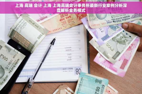 上海 高端 会计 上海 上海高端会计事务所最新行业案例分析深度解析业务模式