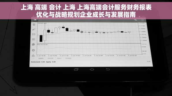 上海 高端 会计 上海 上海高端会计服务财务报表优化与战略规划企业成长与发展指南