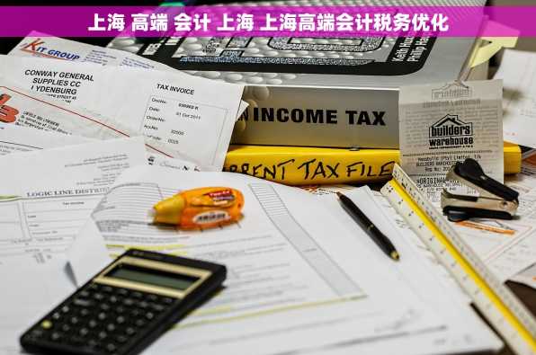 上海 高端 会计 上海 上海高端会计税务优化