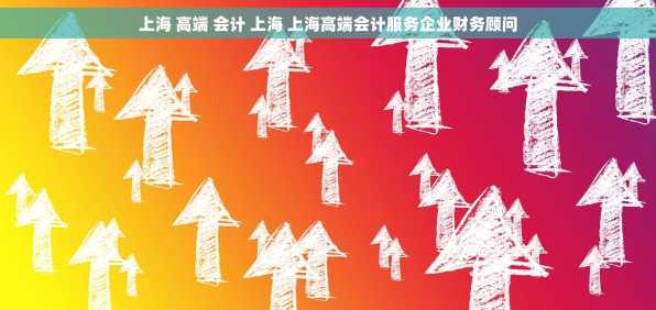 上海 高端 会计 上海 上海高端会计服务企业财务顾问