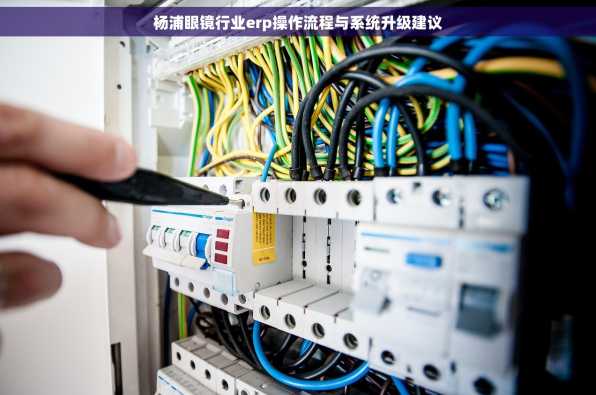 杨浦眼镜行业erp操作流程与系统升级建议