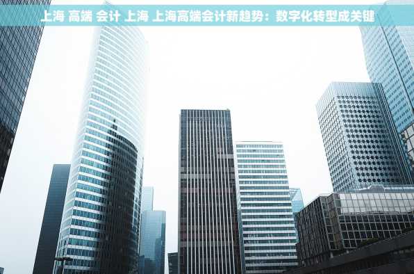 上海 高端 会计 上海 上海高端会计新趋势：数字化转型成关键