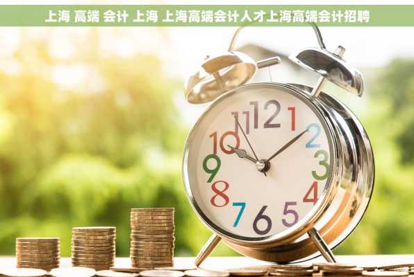 上海 高端 会计 上海 上海高端会计人才上海高端会计招聘