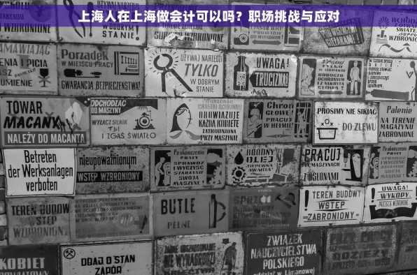 上海人在上海做会计可以吗？职场挑战与应对