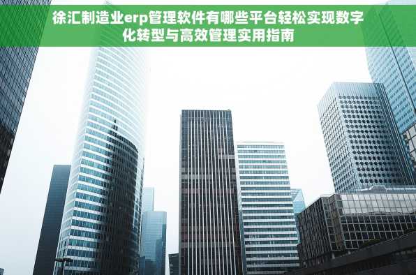 徐汇制造业erp管理软件有哪些平台轻松实现数字化转型与高效管理实用指南