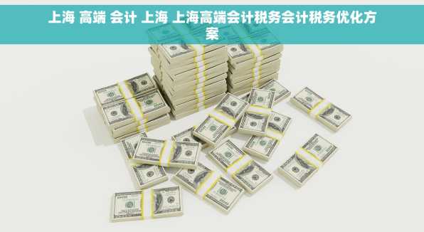 上海 高端 会计 上海 上海高端会计税务会计税务优化方案